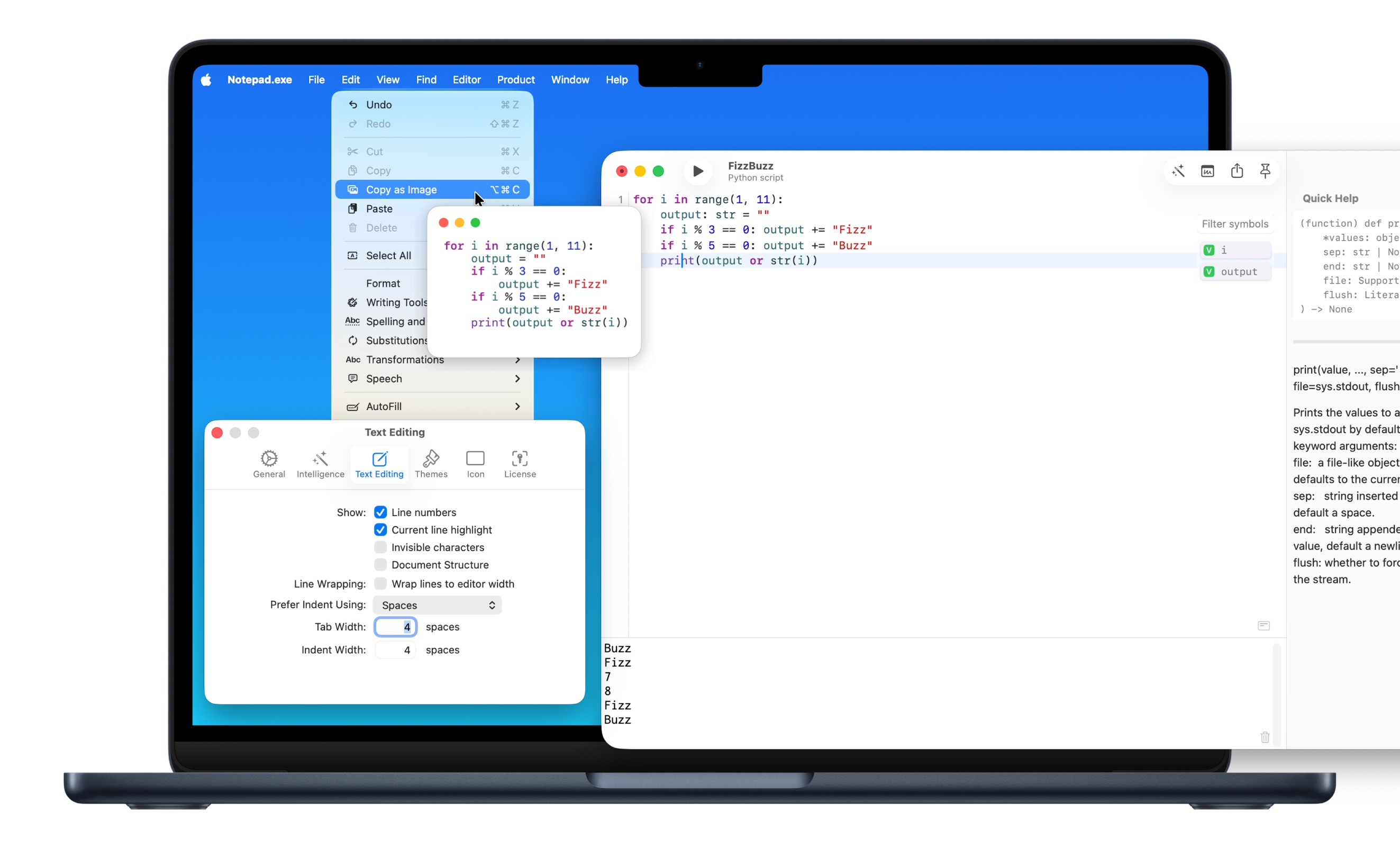 Editor customization